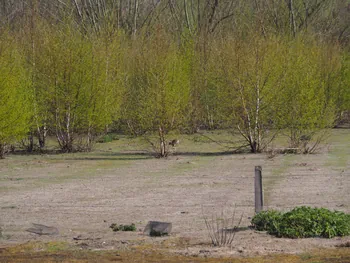 Kalkense Meersen (België)